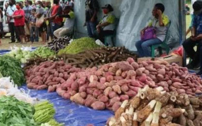 uploads/news/2026/09/potensi-pangan-lokal-papua-716686fb768f93c_400.jpg