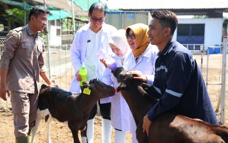 uploads/news/2026/09/sapi-grati-punya-potensi-81641fdf99aa687.jpeg