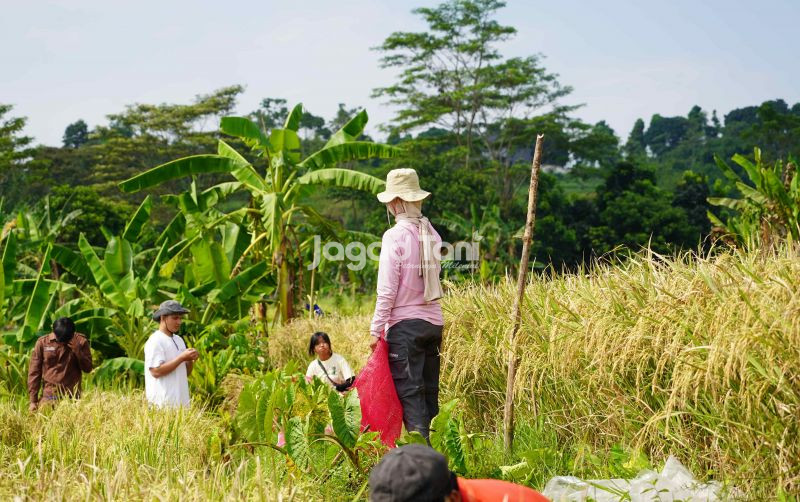 uploads/news/2026/09/tips-agar-petani-siap-358008aec210e71.jpeg