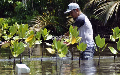 uploads/news/2026/10/apotek-hidup-tersembunyi-di-89853ae3b6e6ed8_400.jpg