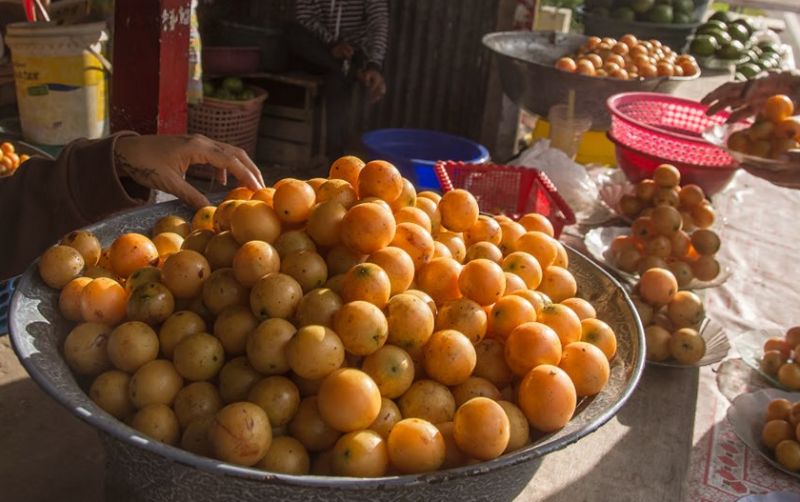 uploads/news/2026/10/buah-buahan-lokal-yang-sudah-85023d0a70ddaaa.jpeg