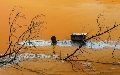 uploads/news/2026/10/ekosistem-ikan-danau-mawang-52637cfb69f77c0_400.jpg