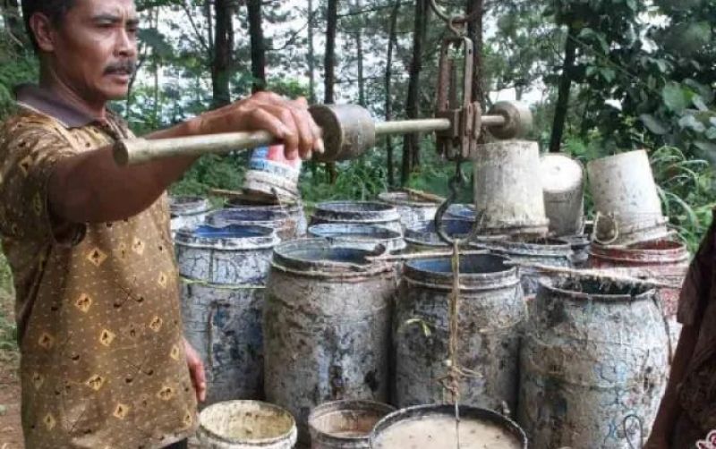 uploads/news/2026/10/harga-getah-pinus-alami-490587038498342.jpg