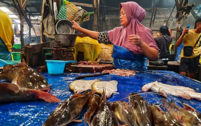 uploads/news/2026/10/harga-ikan-di-palangka-88581336abdc942_400.jpg