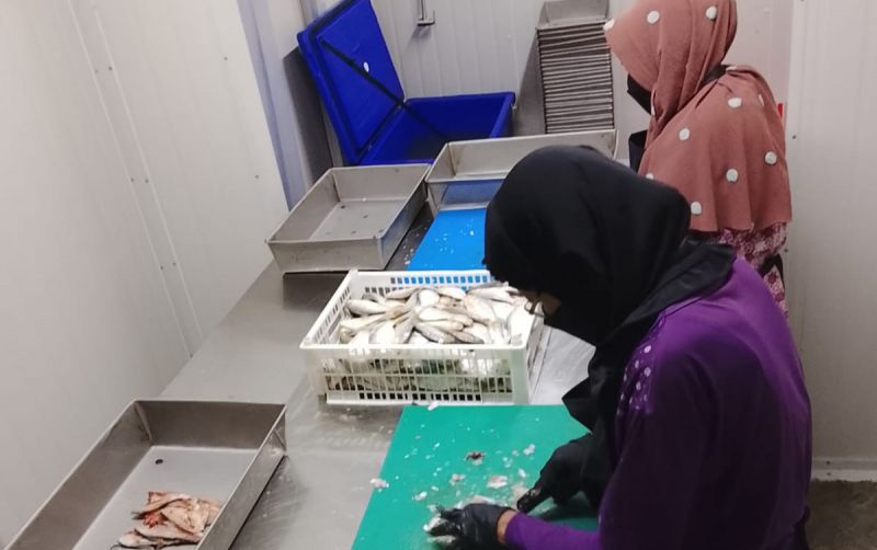 uploads/news/2026/10/ikan-murah-disulap-menjadi-25422aa2eefa46d.jpg