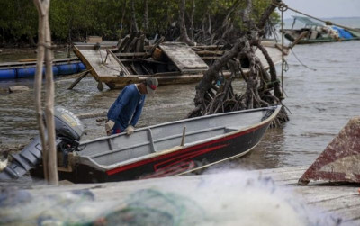 uploads/news/2026/10/ikan-nelayan-rempang-masuk-67083df27ece645_400.jpg