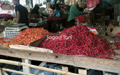 uploads/news/2026/10/jalur-laut-jadi-kunci-86146341bb9b84e_400.jpg