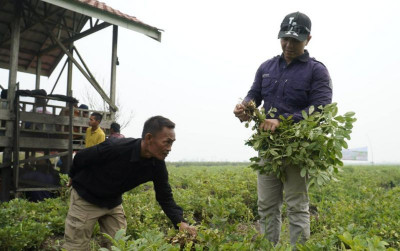uploads/news/2026/10/kelompok-tani-berkat-setia-2657090523bafe9_400.jpeg