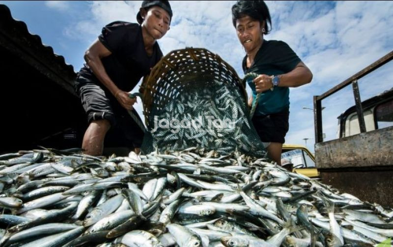 uploads/news/2026/10/kemarau-akibatkan-budi-daya-276472b5d273ecc.jpg