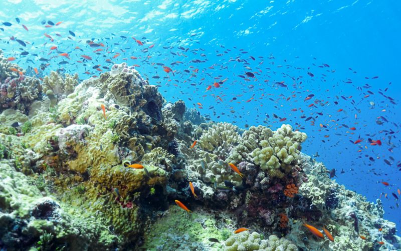 uploads/news/2026/10/kepulauan-lucipara-bakal-disiapkan-76974af055bad73.jpg