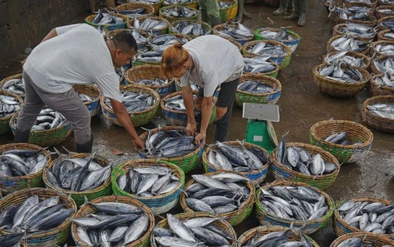 uploads/news/2026/10/masak-yang-matang-sebelum-57728eeb4324283.jpg