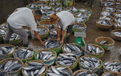 uploads/news/2026/10/masak-yang-matang-sebelum-57728eeb4324283_400.jpg