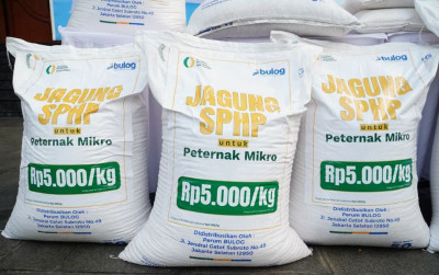 uploads/news/2026/10/penyaluran-sphp-jagung-dikebut--692389494b0d455_400.jpeg