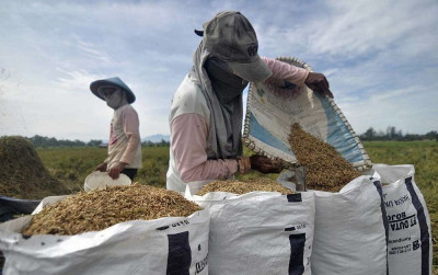 uploads/news/2026/10/penyerapan-beras-gabah-karawang-capai-37605bcfa9ec4eb_400.jpg