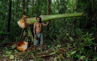 uploads/news/2026/10/proses-pengakuan-hutan-adat-75783c62fe7d0a3_400.jpeg