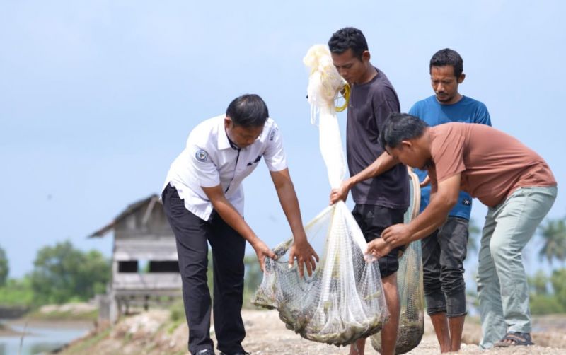 uploads/news/2026/10/sektor-perikanan-aceh-sumbar-sumut-pascabencana-66348e8aa4a29e7.jpg