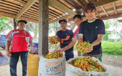 uploads/news/2026/10/stabilkan-harga-pemerataan-distribusi-27362a61cd382c3_400.jpg