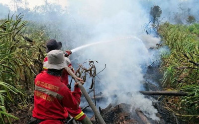uploads/news/2026/10/sumatra-selatan-jadi-titik-5496315670cdfad_400.jpg